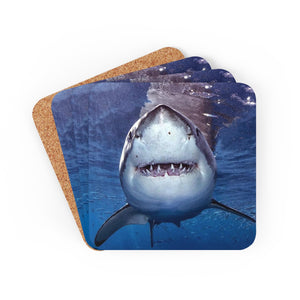 Great White Shark Corkwood Coaster Set