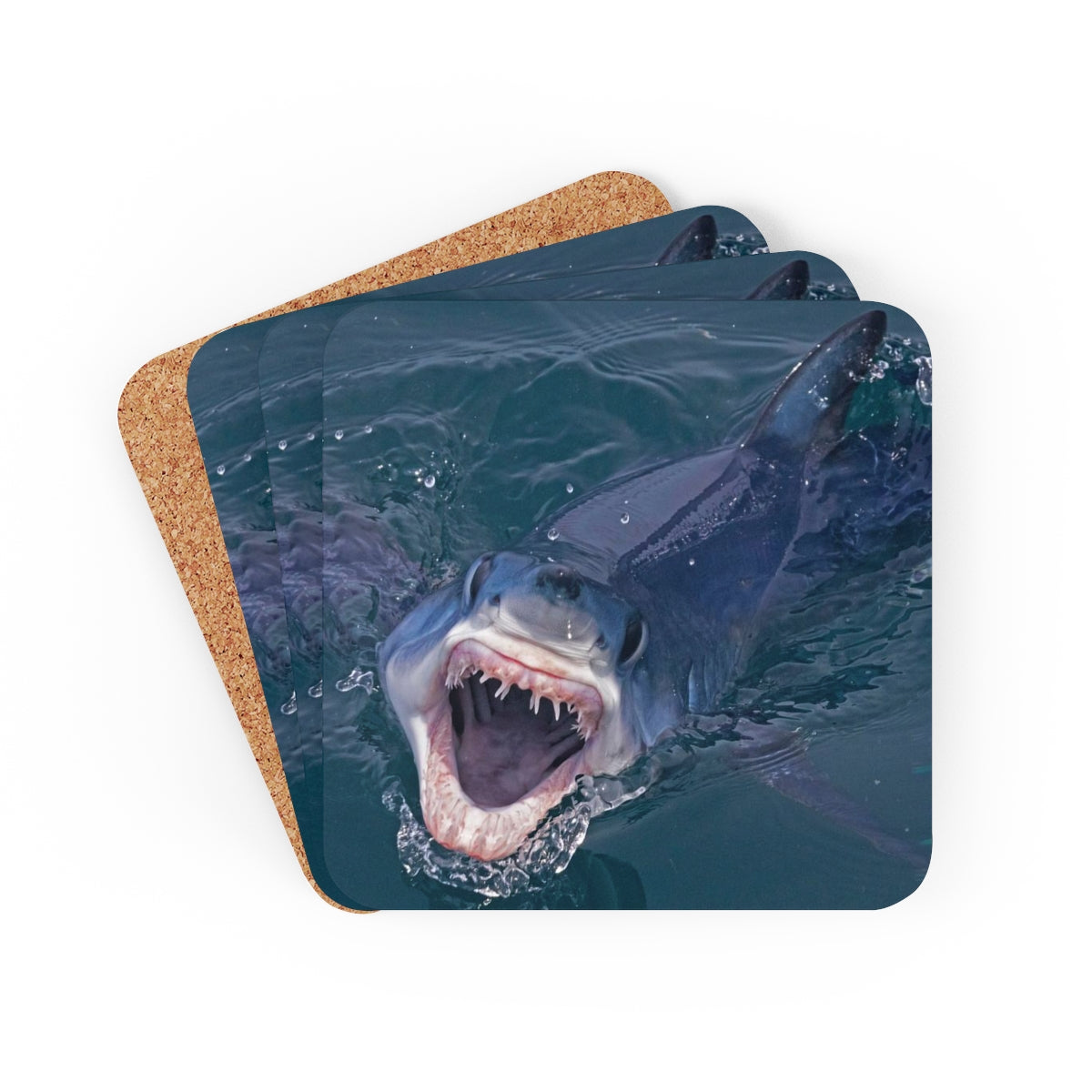Mako Shark Corkwood Coaster Set